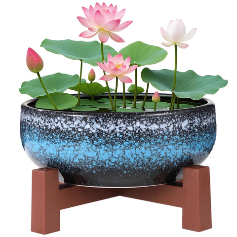 Homaisson lotus bowl with cross base for stable indoor display