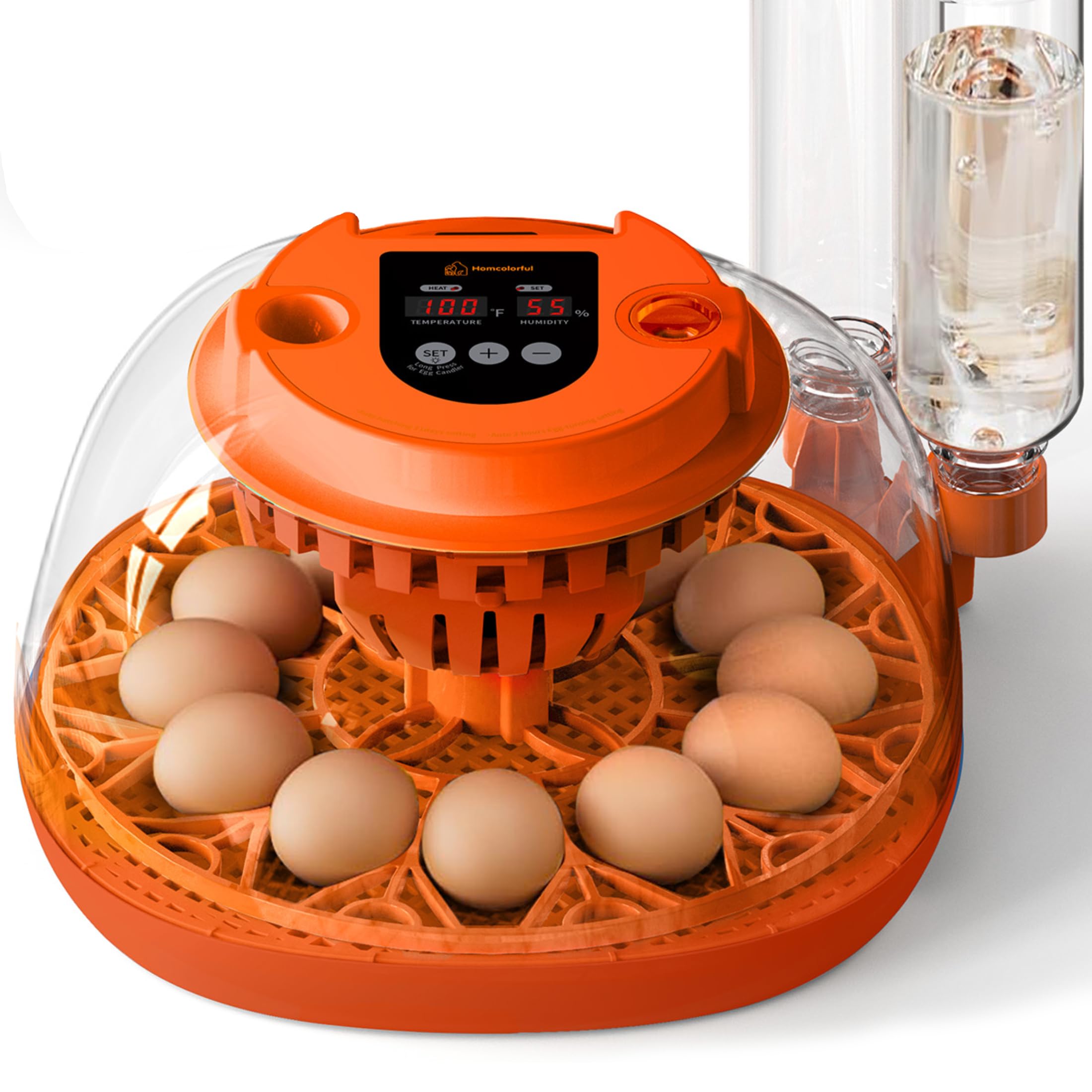 Homcolorful 12 egg incubator: transparent shell for easy hatch observation