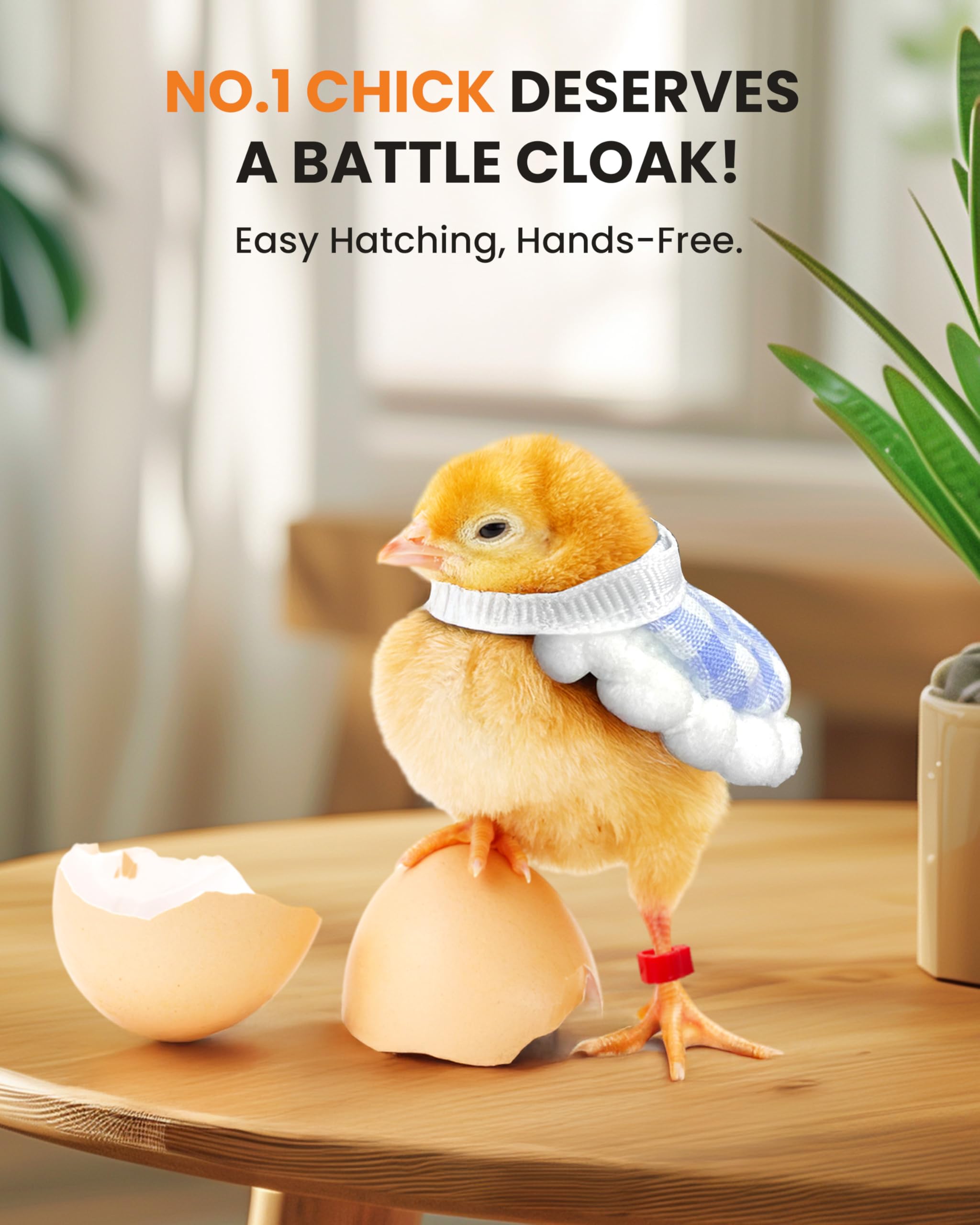 Homcolorful detachable tray design makes cleaning quick