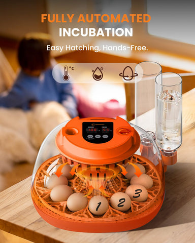Homcolorful incubator with built-in candling view for embryo monitoring