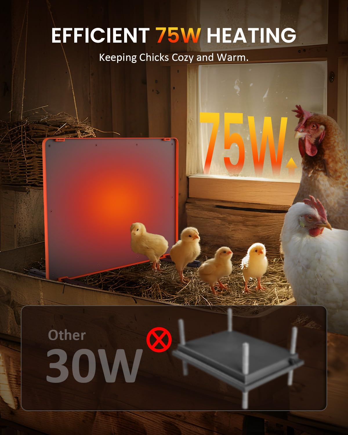 Homcolorful 75W heat plate supports up to 20 chicks in versatile layouts