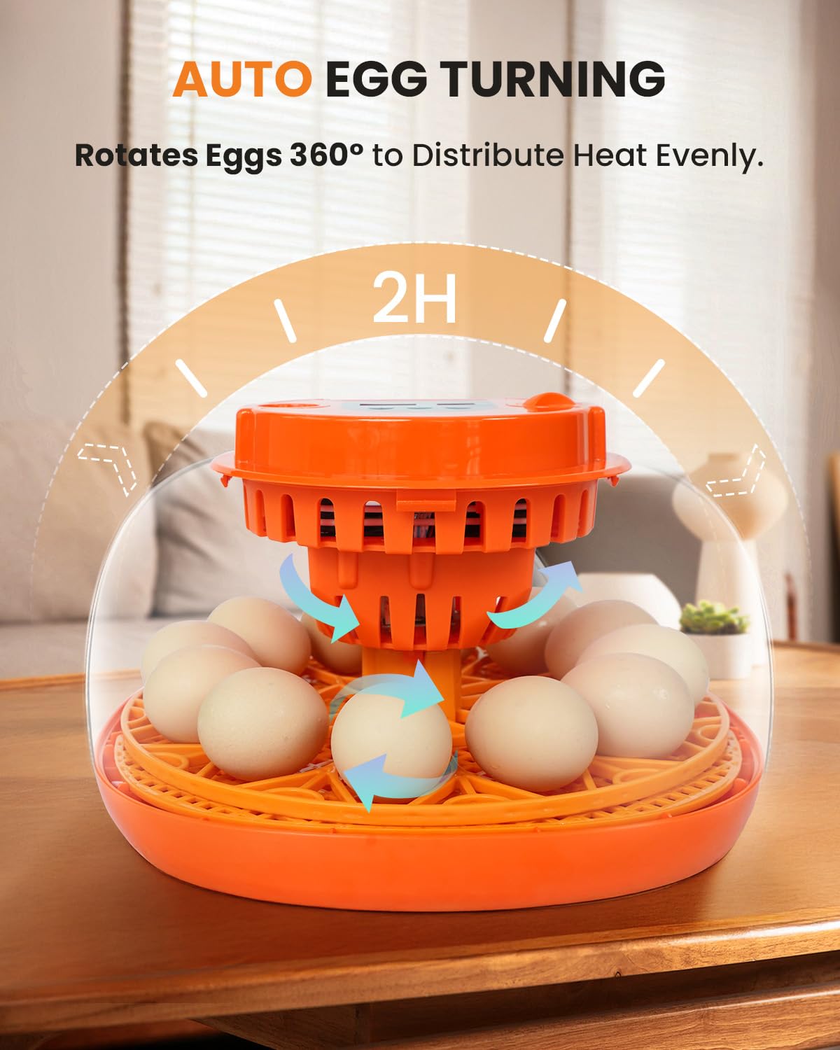 Homcolorful LED display shows real-time temperature and humidity