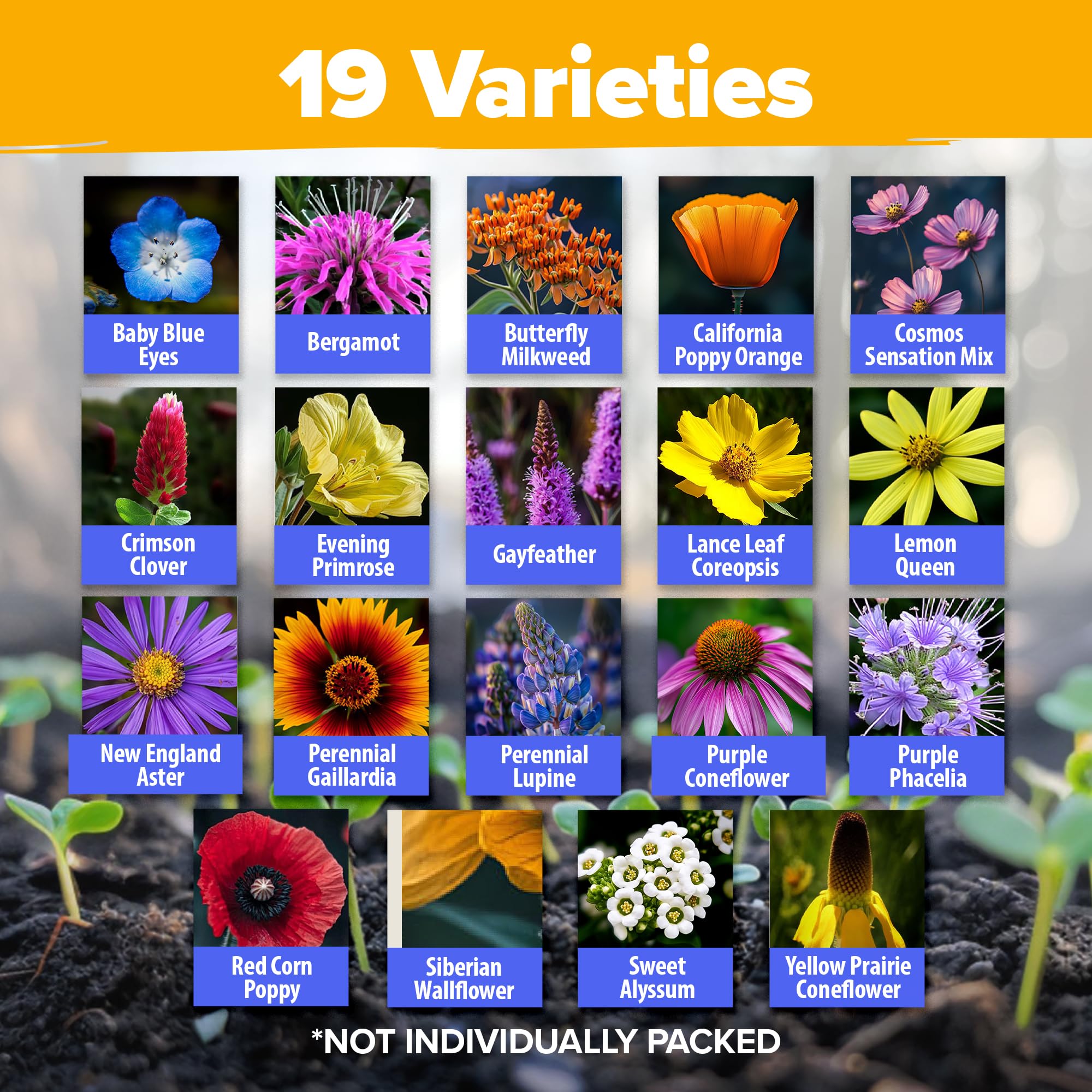 HOME GROWN 19-varieties pollinator seed mix showing diverse blooms