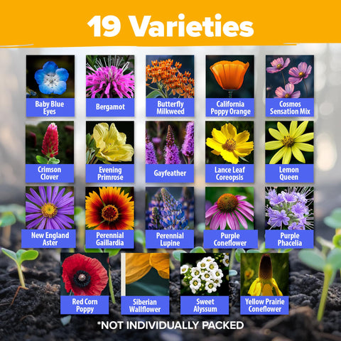 HOME GROWN 19-varieties pollinator seed mix showing diverse blooms