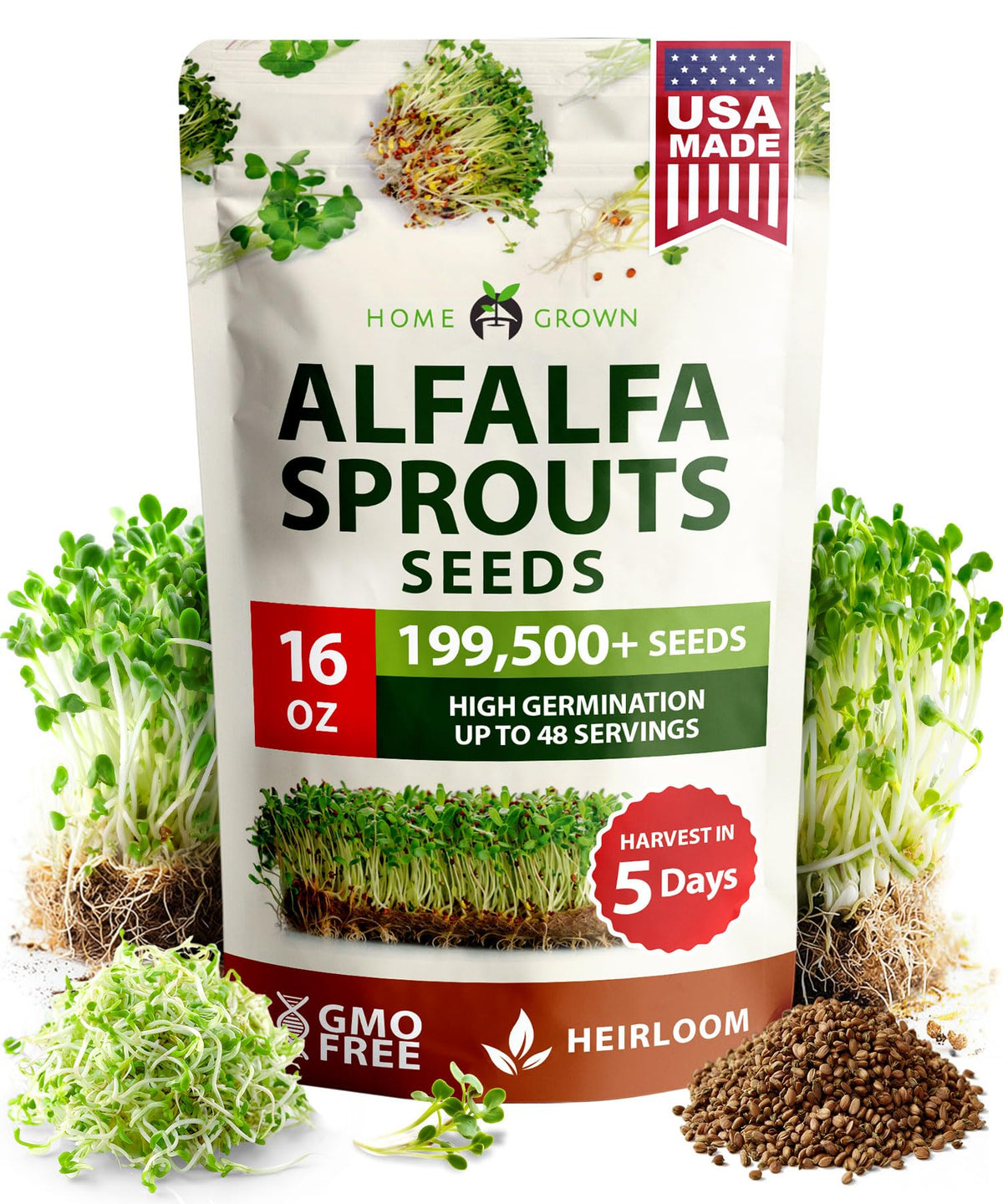HOME GROWN alfalfa sprout seeds 16oz bulk bag ready for indoor sprouting