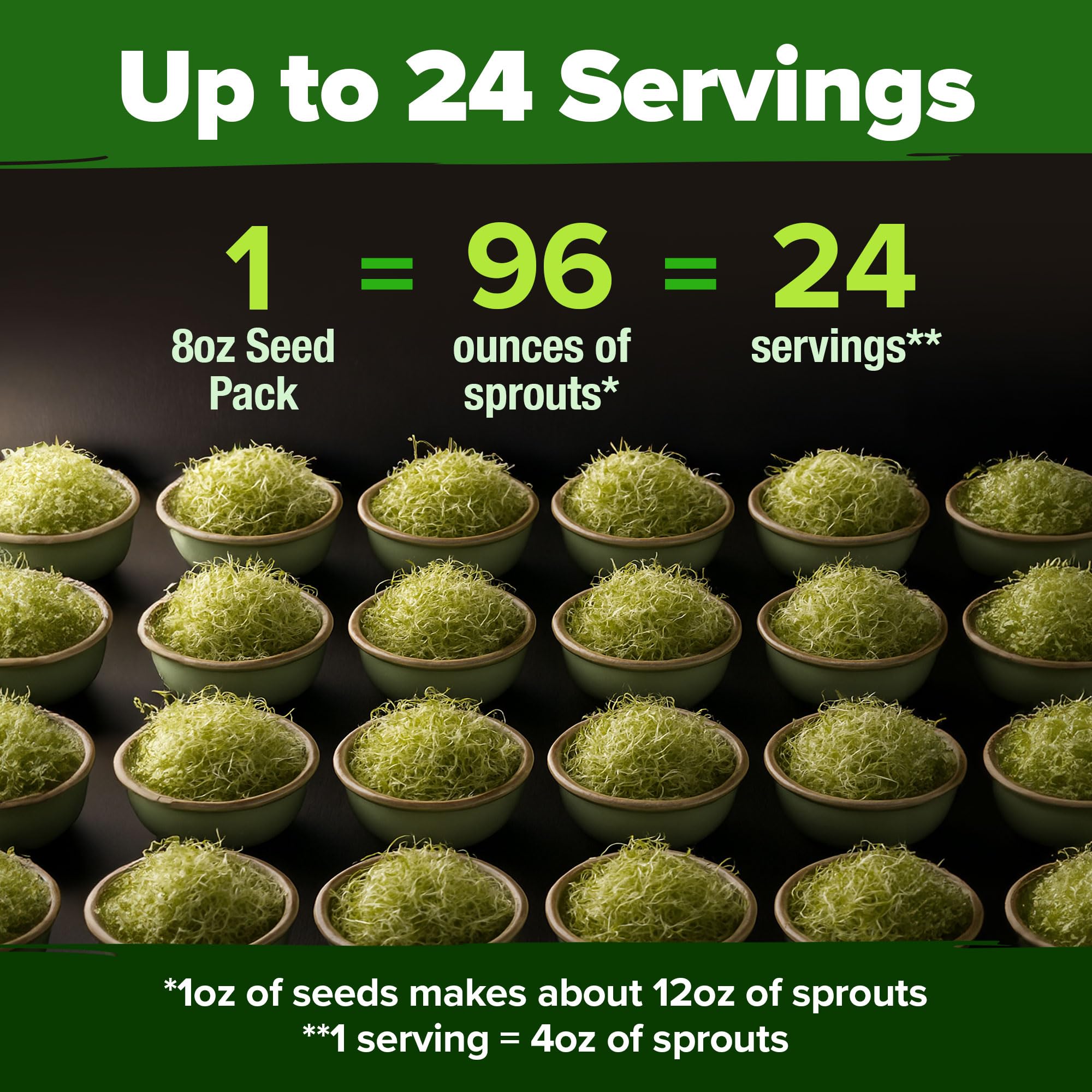HOME GROWN heirloom alfalfa seeds ideal for traditional sprouting