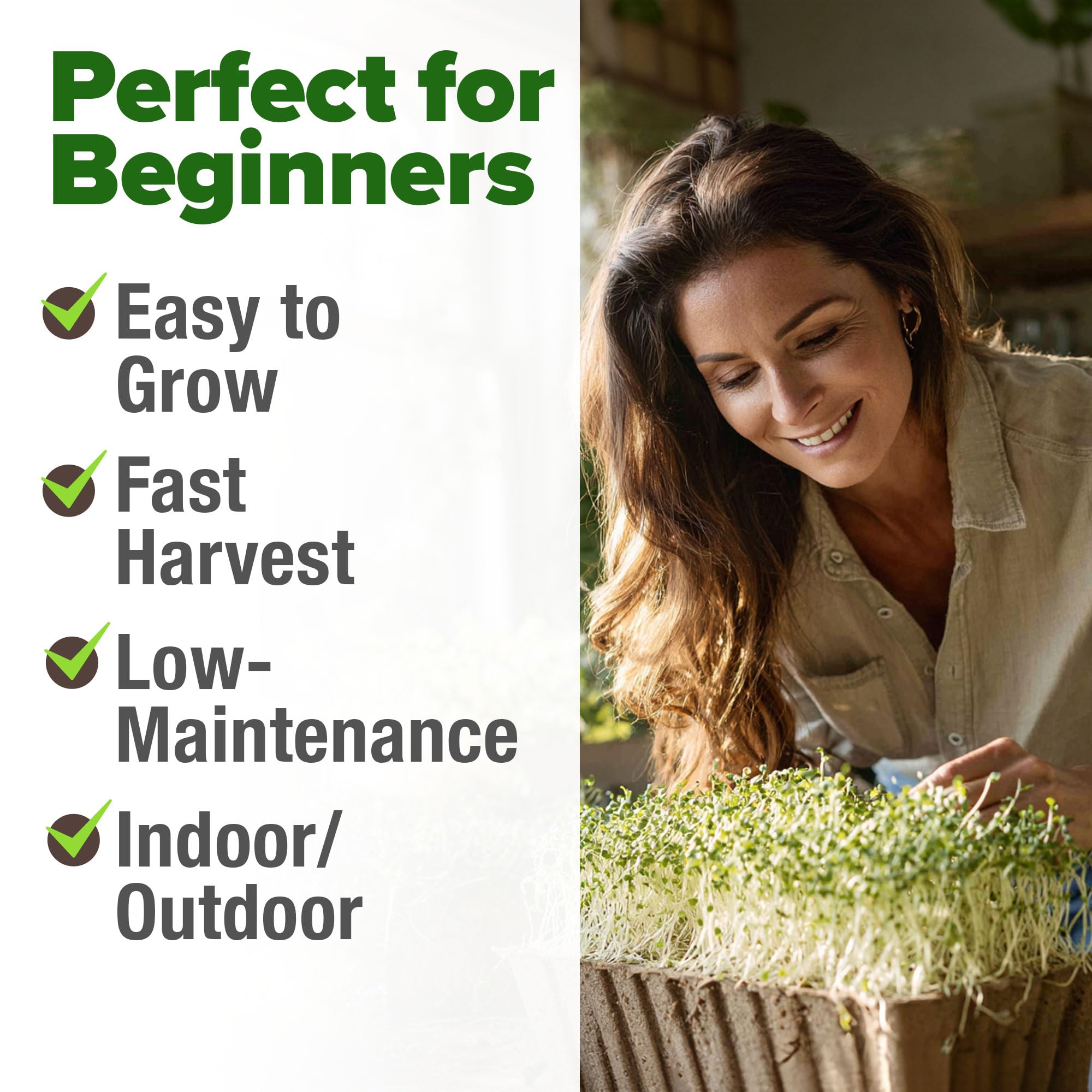HOME GROWN non-GMO alfalfa seeds for pure, additive-free sprouts