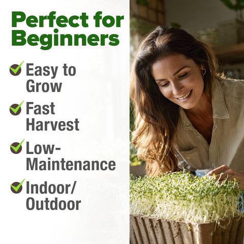 HOME GROWN non-GMO alfalfa seeds for pure, additive-free sprouts