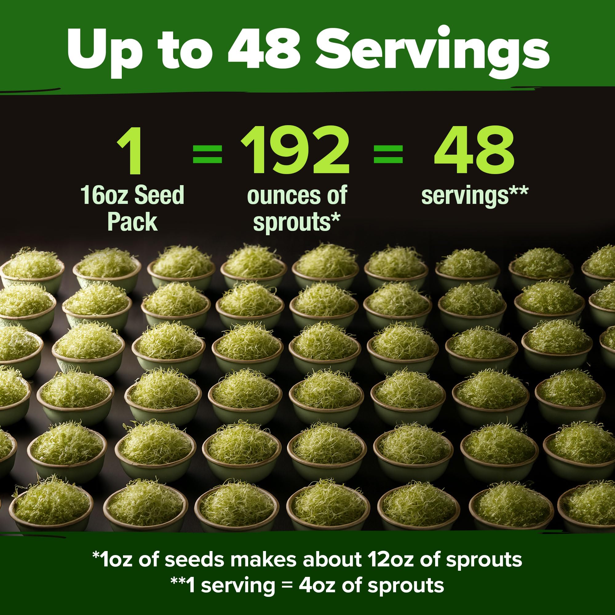 HOME GROWN alfalfa sprouts in jar show quick germination for meals