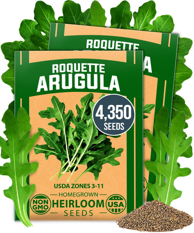 HOME GROWN Arugula seeds bulk-pack ready for outdoor planting and quick harvests.