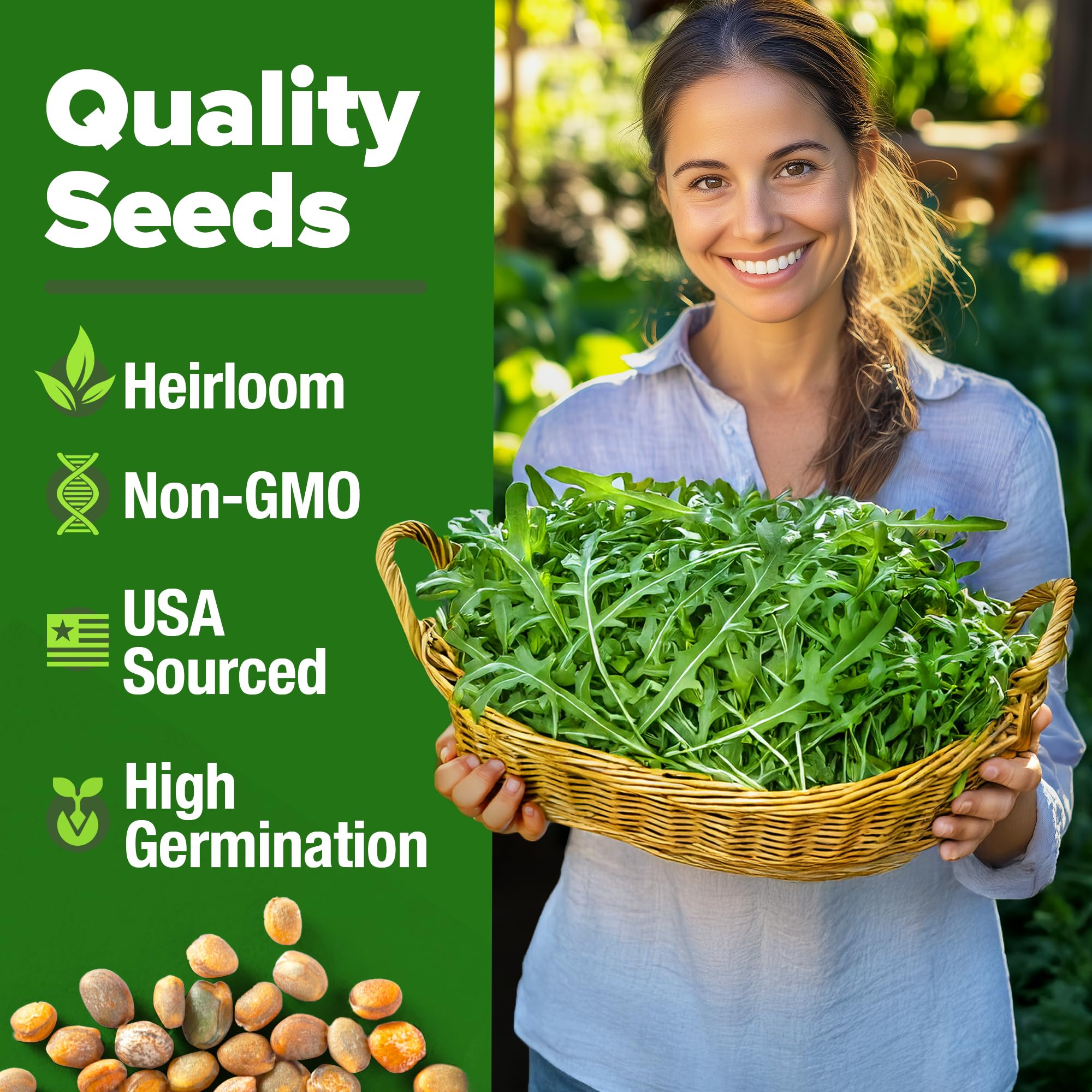 HOME GROWN Arugula seeds with high germination ideal for beginners.