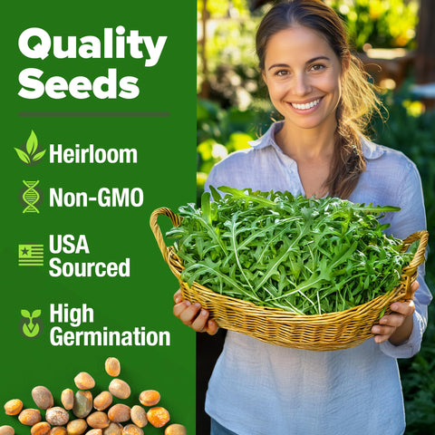 HOME GROWN Arugula seeds with high germination ideal for beginners.