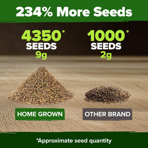 HOME GROWN Arugula seeds for indoor hydroponics and countertop greens.