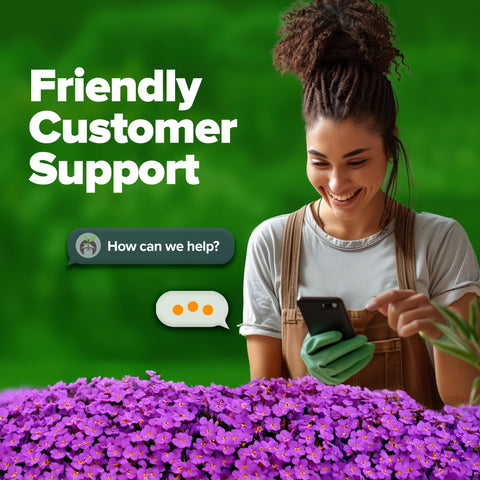 Drought- and frost-tolerant HOME GROWN Aubrieta Rock Cress Purple thrives in zones 4-9.