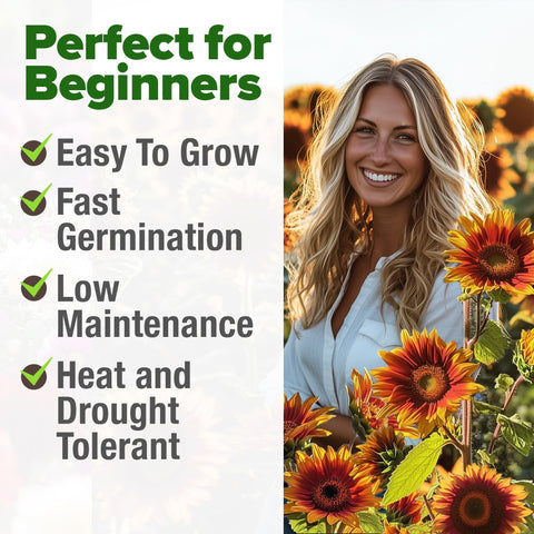HOME GROWN Autumn Beauty seeds resist heat and pests for reliable blooms.