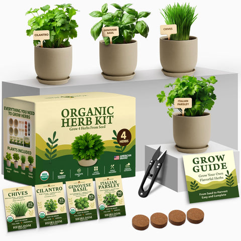 HOME GROWN Basil seed pack for fresh, aromatic leaves at your fingertips.