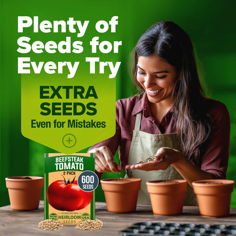 HOME GROWN Beefsteak tomatoes ideal for burgers and sandwiches.