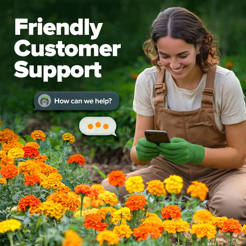 HOME GROWN beginner-friendly marigold seeds easy to grow for new gardeners.
