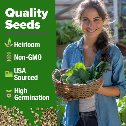 Germination-ready HOME GROWN Bloomsdale seeds hint at quick sprouting vigor for beginners.