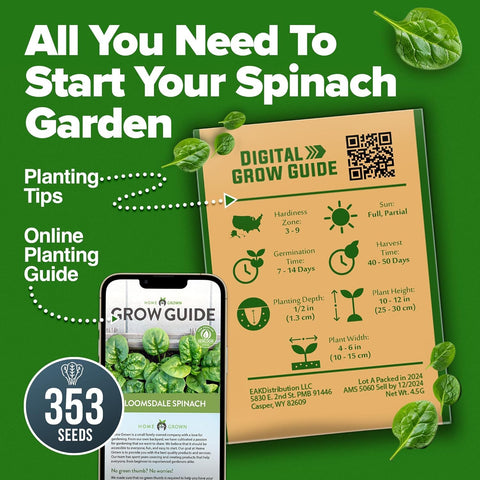 Clear sowing guide included with HOME GROWN Bloomsdale spinach seeds for easy planting.