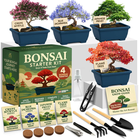 HOME GROWN Bonsai Starter Kit contents shown for a complete beginner setup.