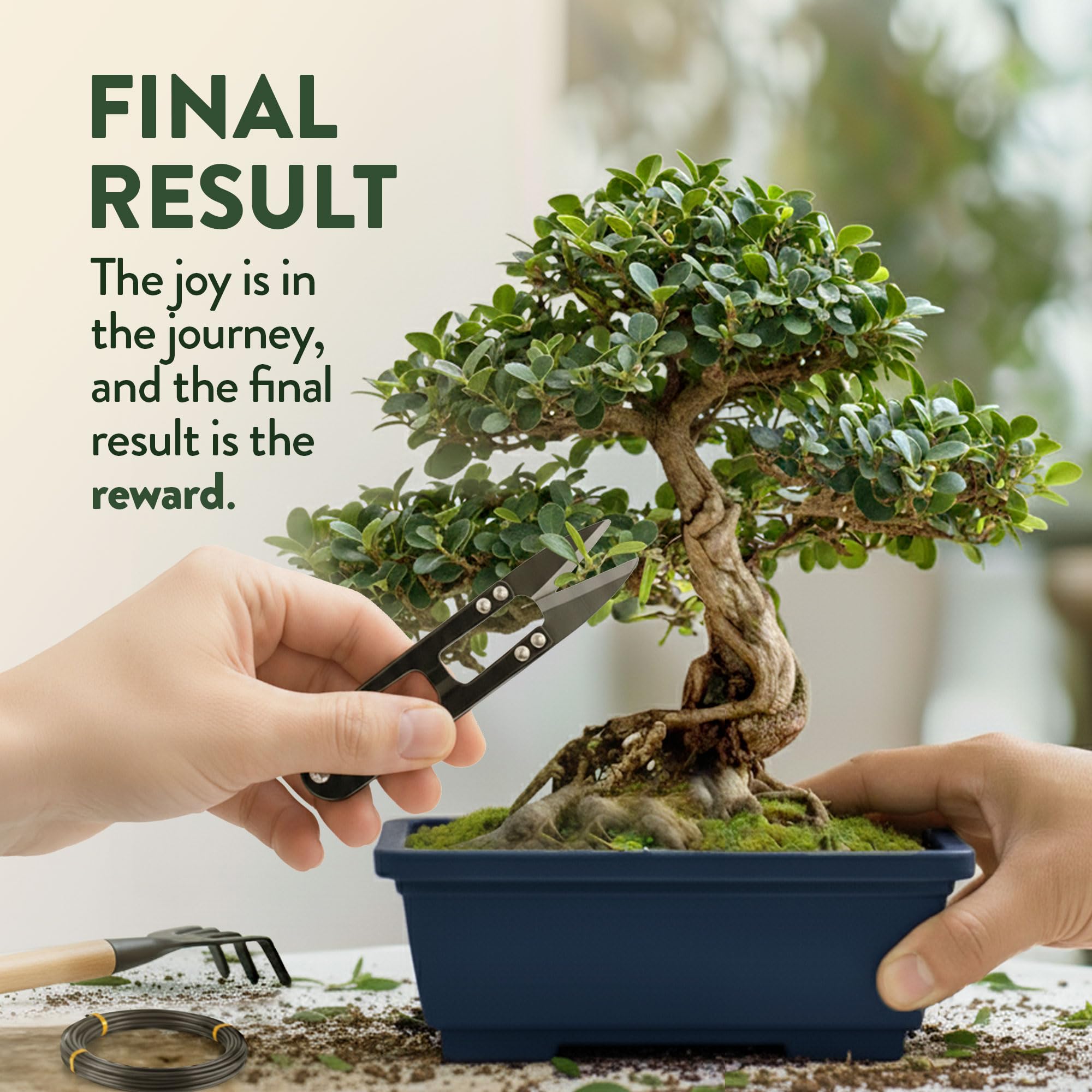 HOME GROWN Bonsai Starter Kit gift-ready box ideal for gifting.