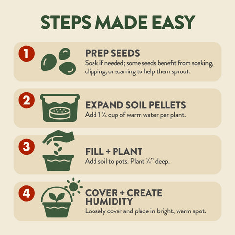 HOME GROWN Bonsai Starter Kit pots with drainage for healthy roots.