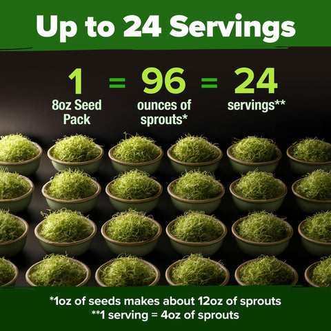 HOME GROWN broccoli seeds germination test showcasing high germination potential for quick harvest.