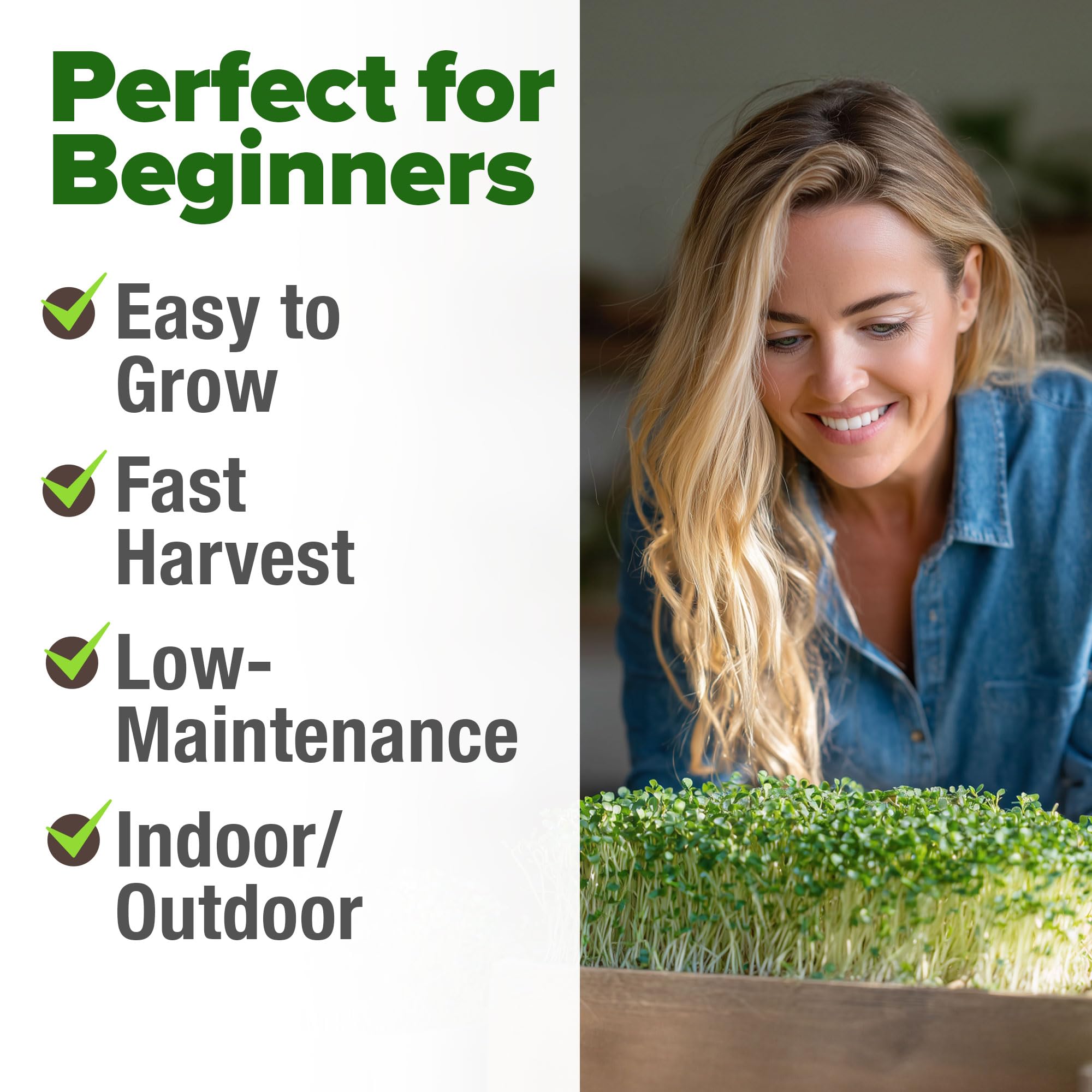 HOME GROWN broccoli seeds pack close-up highlighting freshness seal for long viability.