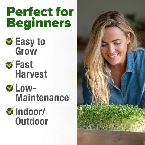HOME GROWN broccoli seeds pack close-up highlighting freshness seal for long viability.