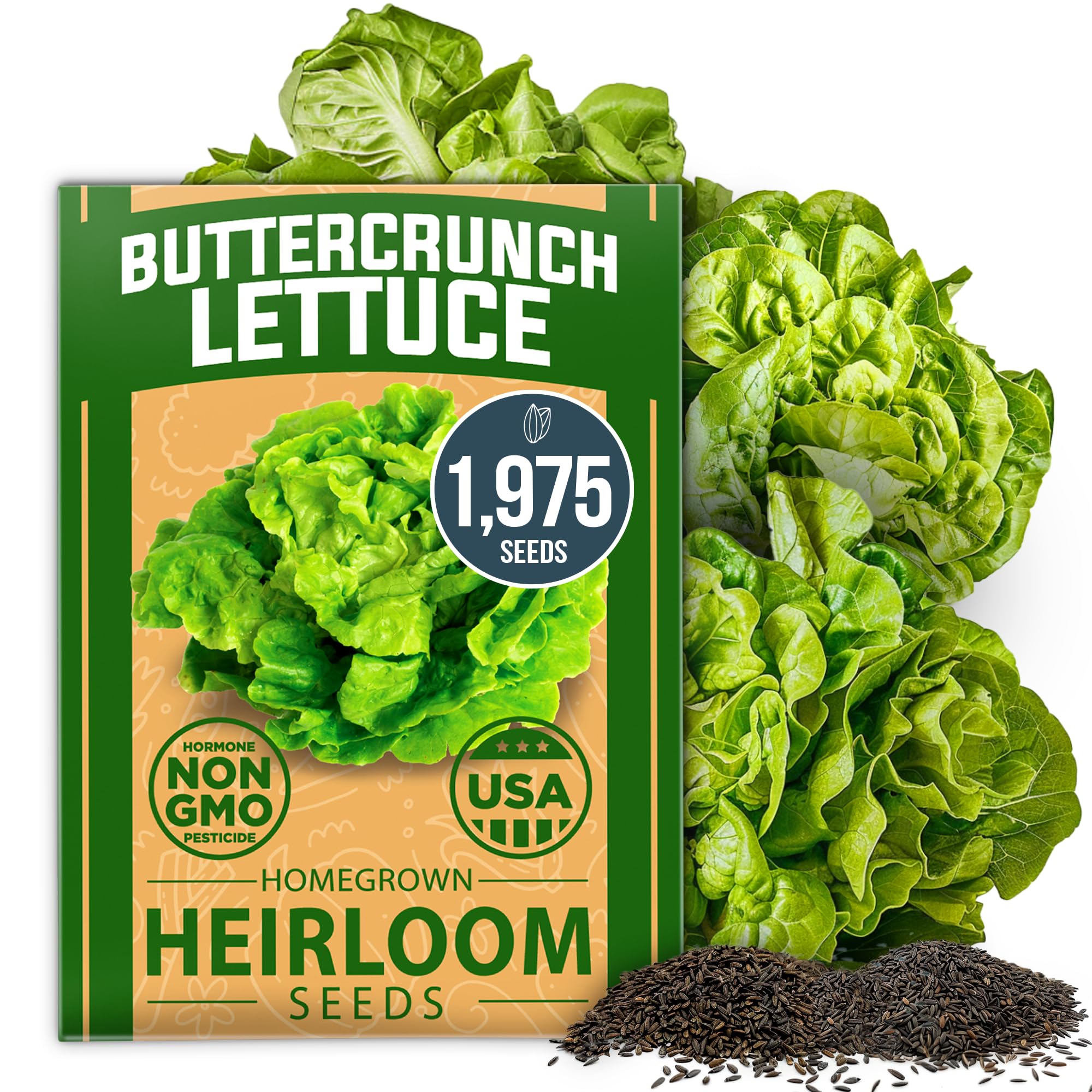 HOME GROWN Buttercrunch lettuce seeds bulk pack ready for abundant harvest potential.