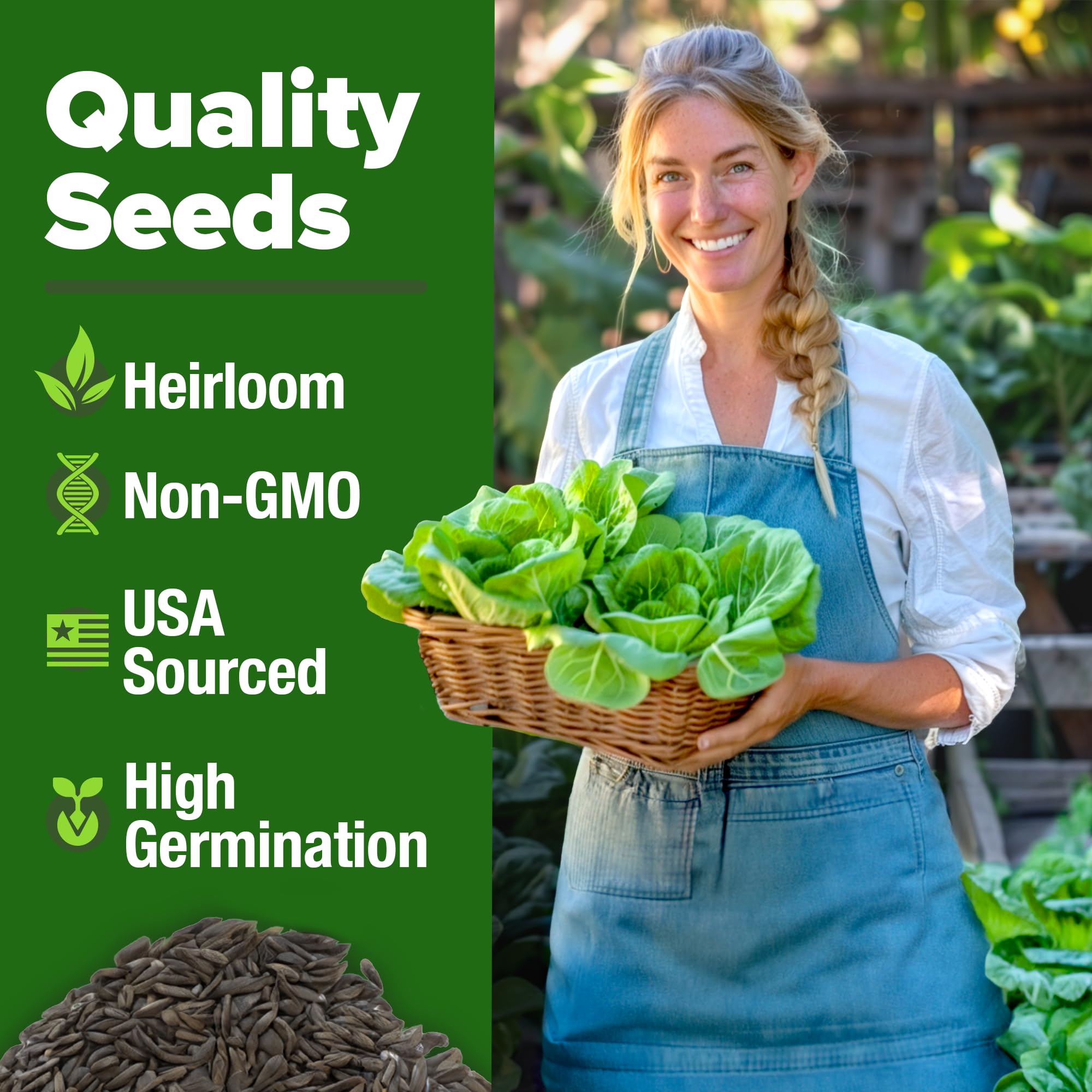 HOME GROWN Buttercrunch lettuce seeds in hydroponic-friendly setup demonstration.