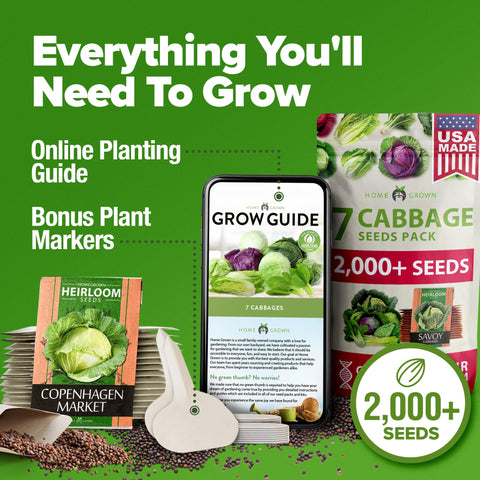HOME GROWN Bok Choy seeds for quick, tender greens in a home garden