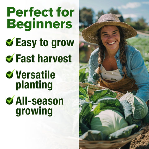 HOME GROWN Michihili seeds for classic Napa cabbage harvest at home
