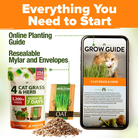 HOME GROWN cat grass growing container with lush greens illustrating quick harvest
