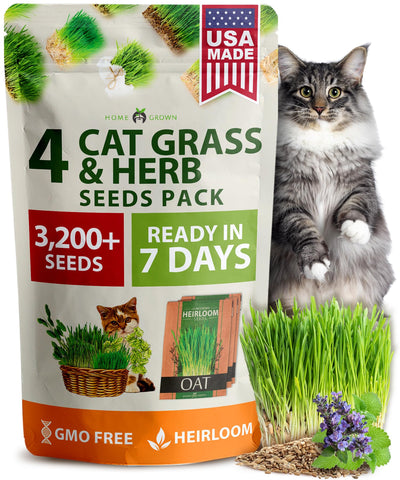 HOME GROWN cat grass refill pack on kitchen counter ready to grow fresh greens for cats