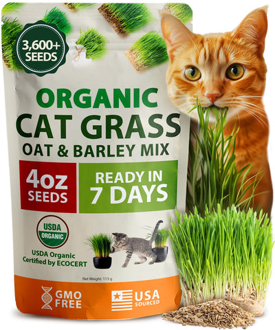 HOME GROWN cat grass seed mix bag label featuring organic oats and barley for indoor greens