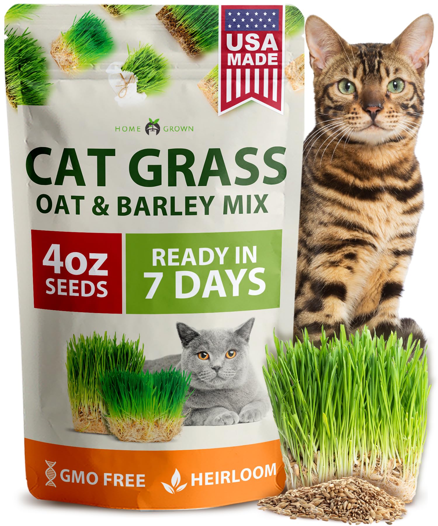 HOME GROWN cat grass seeds in oat-barley mix offer a fresh indoors option.