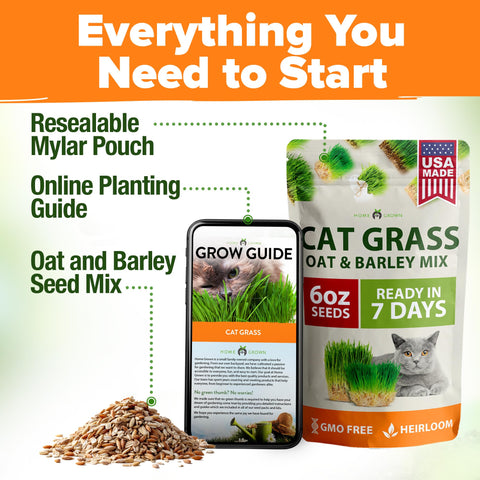 HOME GROWN cat grass kit refill setup on kitchen counter