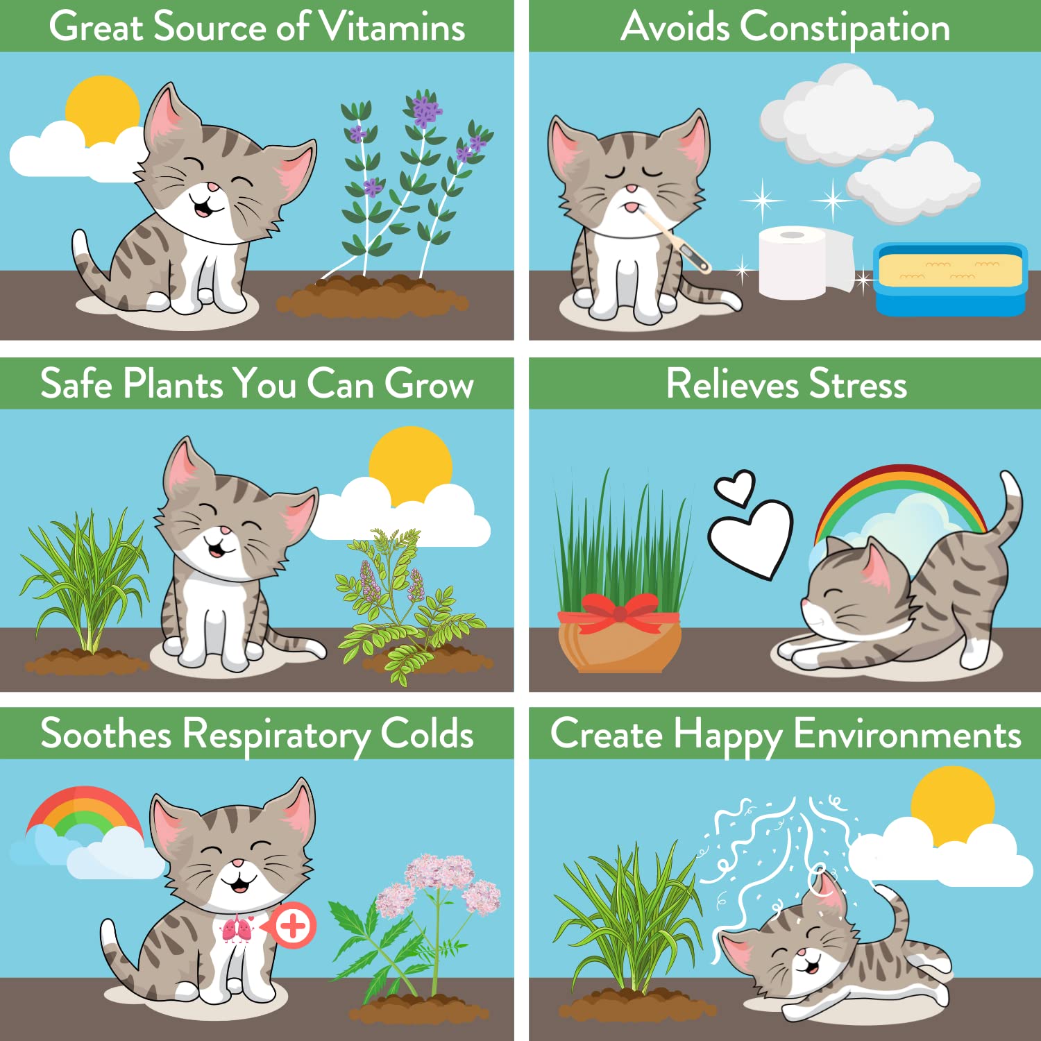 HOME GROWN enrichment scene highlights a stimulating feline garden for play.