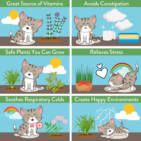 HOME GROWN enrichment scene highlights a stimulating feline garden for play.