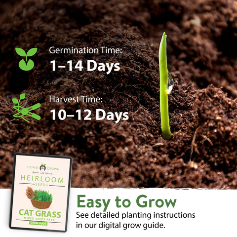 HOME GROWN thyme seed mix adds soothing herb variety for indoor grazing.