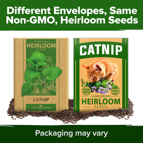 Home Grown catnip and cat grass pairing idea for play.