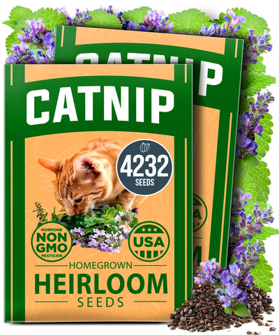 HOME GROWN catnip seeds in a 2-pack ready for indoor or outdoor planting.