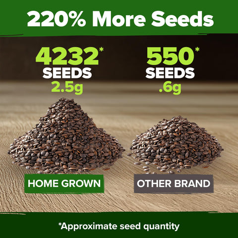 HOME GROWN catnip seeds with planting guide included for easy home herb gardening.