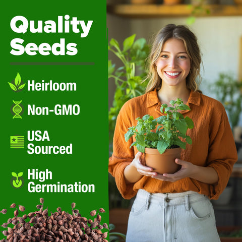 HOME GROWN catnip seeds close-up shows premium heirloom quality and high germination potential.