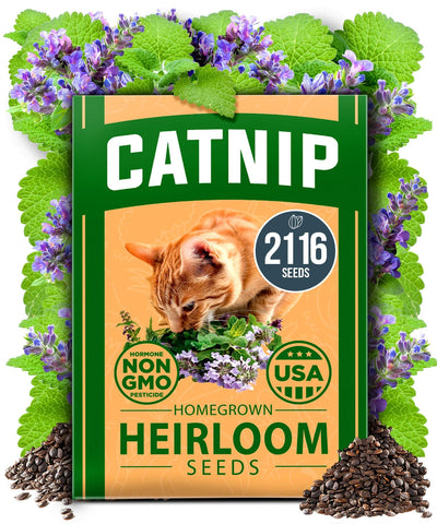 Home Grown catnip seeds bulk pack for steady supply of fresh catnip.