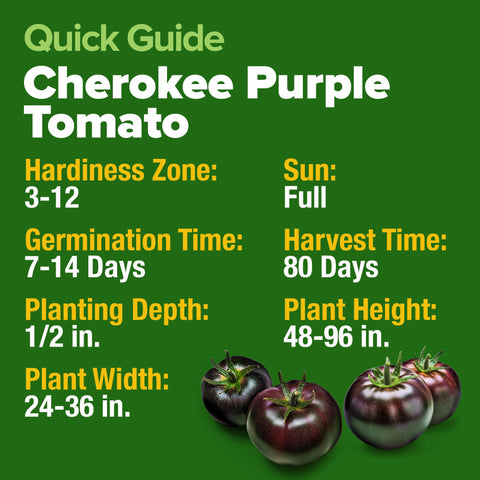 HOME GROWN Cherokee Purple tomato seeds show delicate skin ideal for flavor-rich tomatoes.