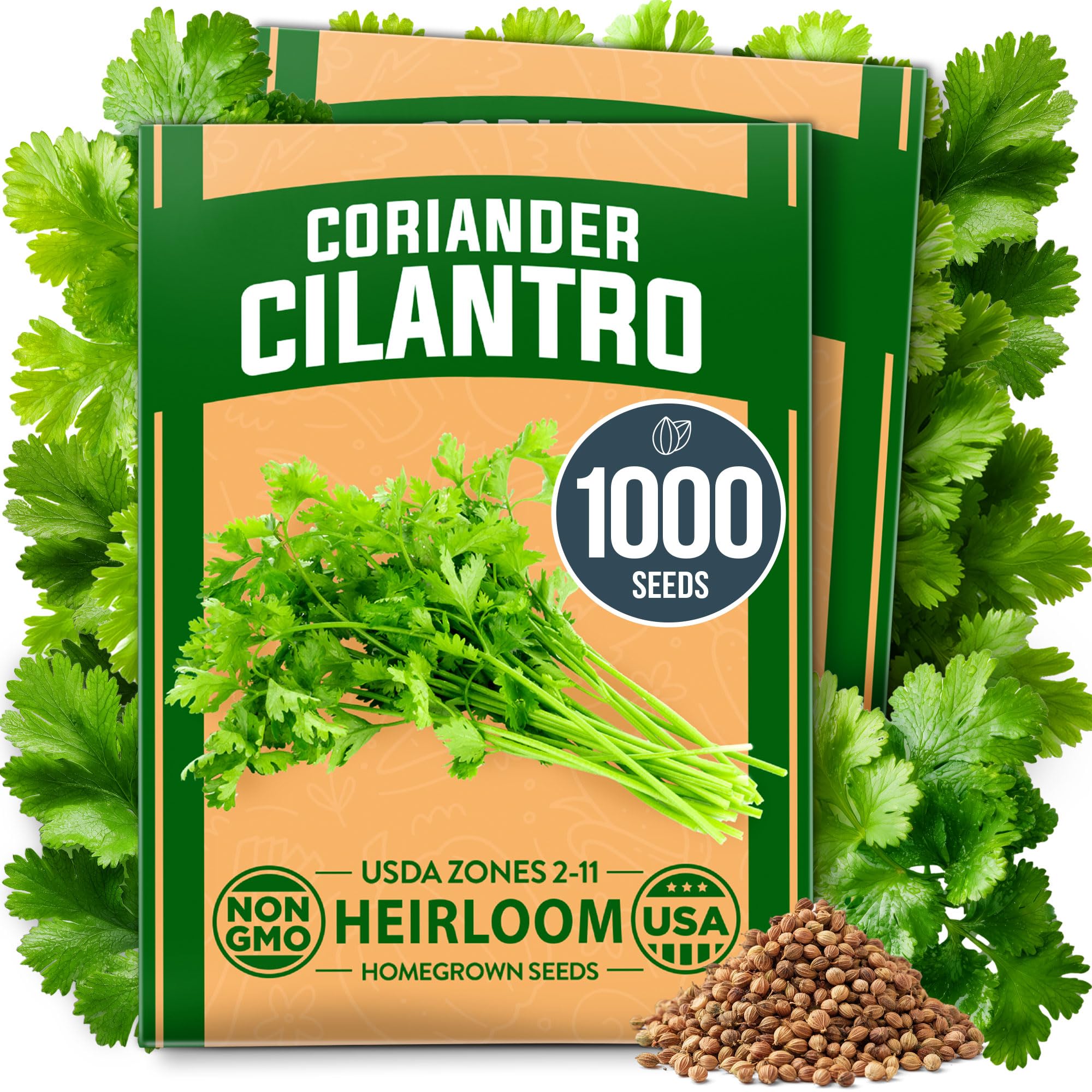 HOME GROWN cilantro seeds bulk pack ready for easy planting in pots or garden beds.