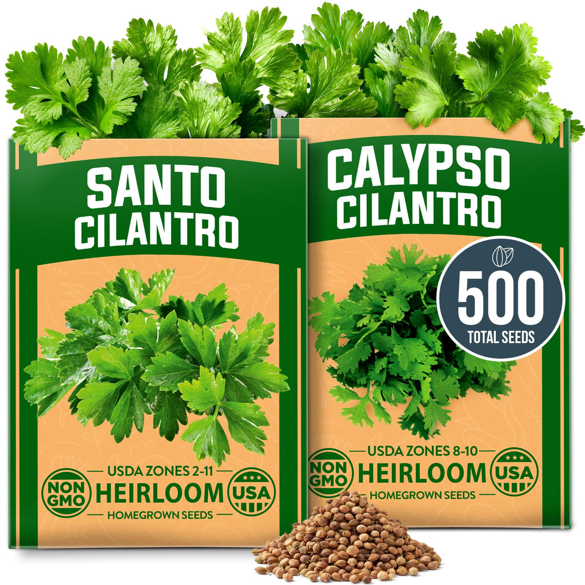 HOME GROWN Cilantro seeds Calypso and Santo pack ideal for indoor herb gardens.
